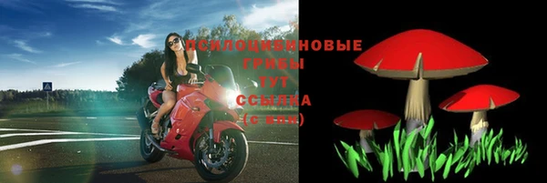 крисы Арсеньев