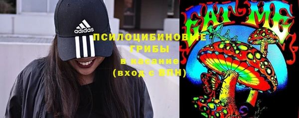 соль ск Алексеевка