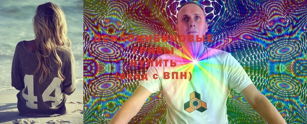 соль ск Алексеевка