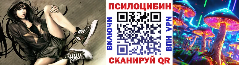 как найти закладки  Новороссийск  Галлюциногенные грибы Psilocybe 