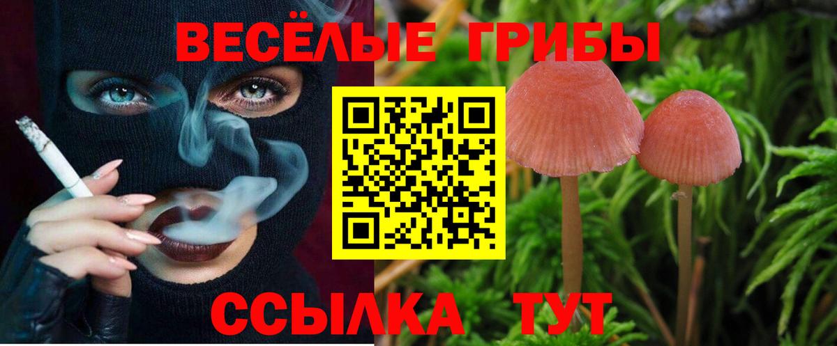 Псилоцибиновые грибы Psilocybine cubensis  Вход с VPN  Псилоцибиновые грибы Magic Shrooms  Новороссийск 